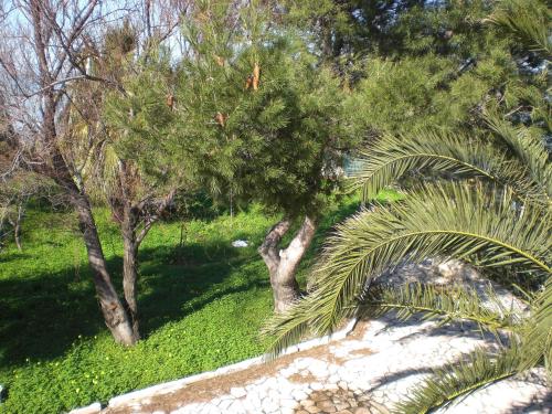 RODI GARGANICO Villa sul mare per vacanze in Rodi Garganico