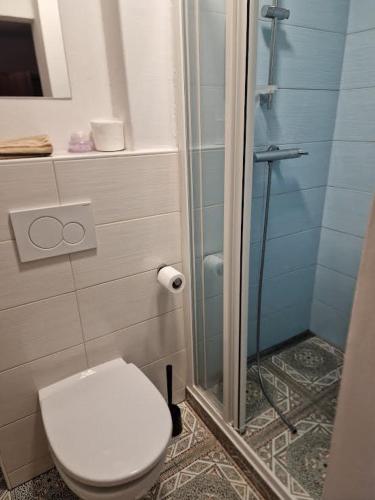 Apt Lublana