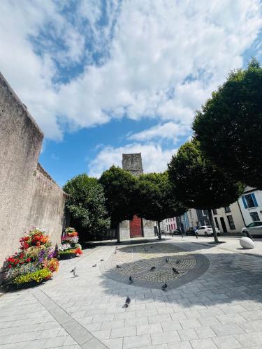 Cosy apartment in heart of Cork City in 科克