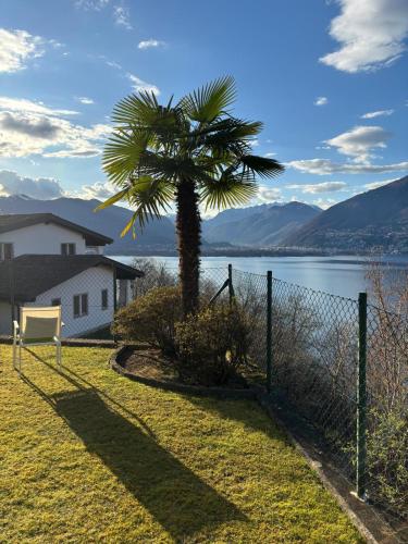 Studio Viramonte - charmantes Apartment mit Pool & Seeblick in Vira