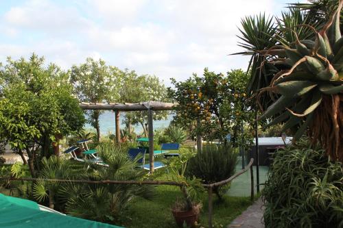 Hotel Maronti - image 13