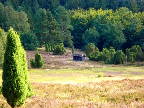 Landgasthaus Zum Naturschutzpark - image 6