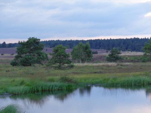 Landgasthaus Zum Naturschutzpark - image 4