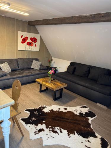 Ferienwohnung Silvaner in fränkischer Weinregion (Ferienwohnung Silvaner in frankischer Weinregion) in Ipsheim