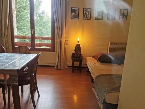 Downtown apartment for 6 people - Location saisonnière - Font-Romeu-Odeillo-Via