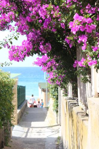 Hotel Maronti - image 10