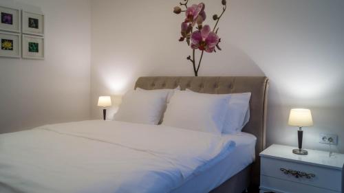 Luxury Budva Center Apartments - image 9