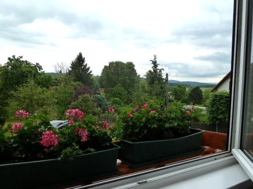 Exterior view, Ferienwohnung Bradsch in Ilmenau