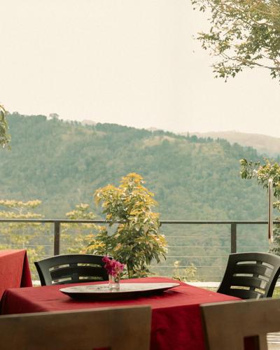 The Aurelia in Udapalatha