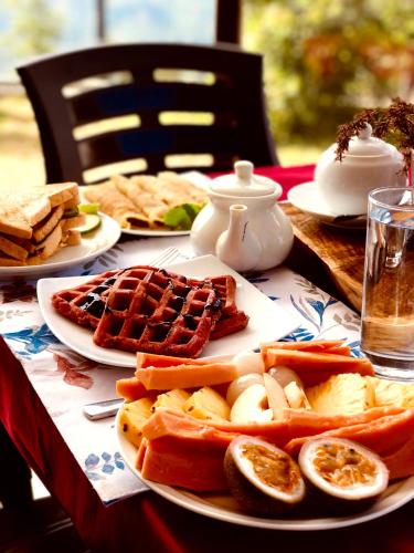 The Aurelia in Udapalatha