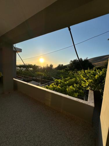 Te Nana's Farm in Xarrë