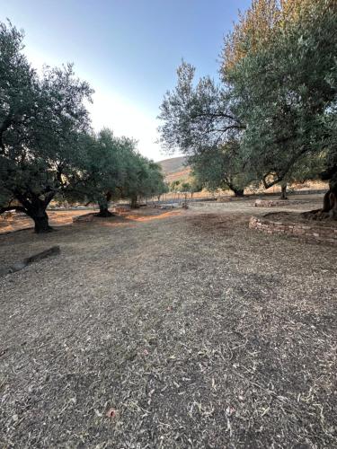 Te Nana's Farm in Xarrë