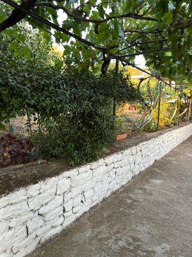 Te Nana's Farm in Xarrë
