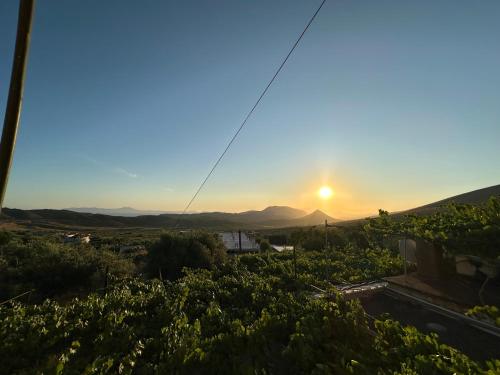 Te Nana's Farm in Xarrë