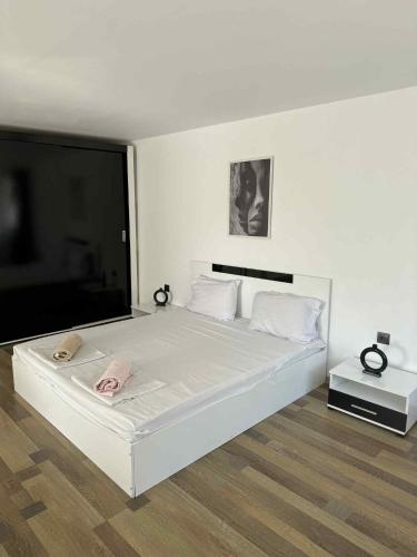 Escape Shumen - image 7