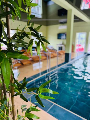 Green Hill Villa & SPA