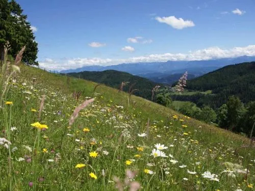 1-bedroom holiday apartment in Zirkitz, Österreich