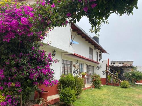 A szálláshely kívülről, Villa Sofia in Centro