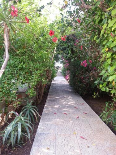 Residence Agave Lampedusa - image 6