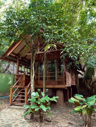 Khao Sok Paradise Resort Room Type - Bungalow