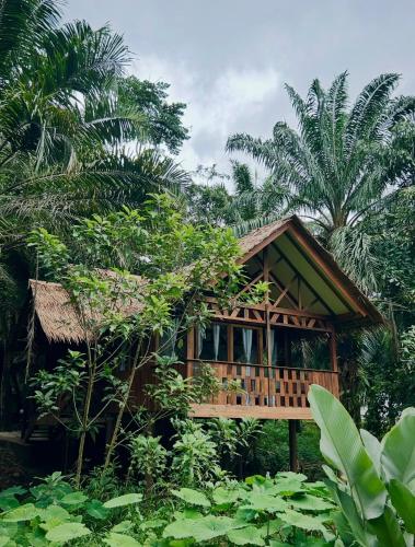 Khao Sok Paradise Resort Room Type - Family Room with Bath