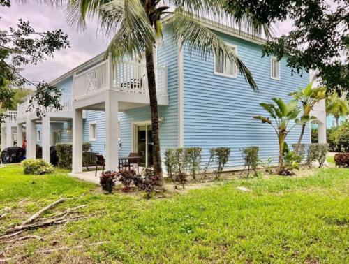 Beautiful Experience in Alice Town