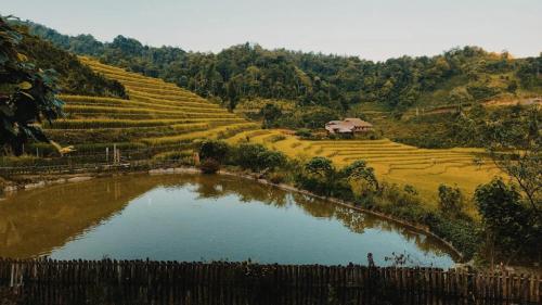 Surrounding environment, BanLien Forest Lao Cai in Bac Ha (Lao Cai)