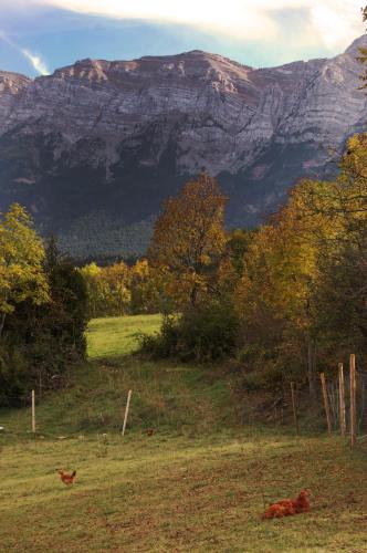 Casa Rural al Pirineu