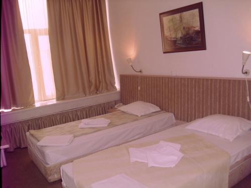 Hotel Alabin Central, Sofia (foto 6)