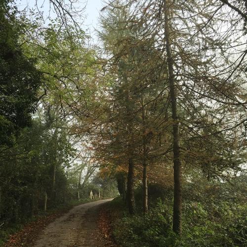 Pathways Beachwood Cottage - image 8