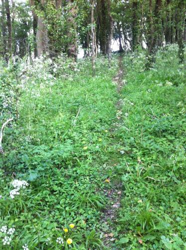 Pathways Beachwood Cottage - image 5