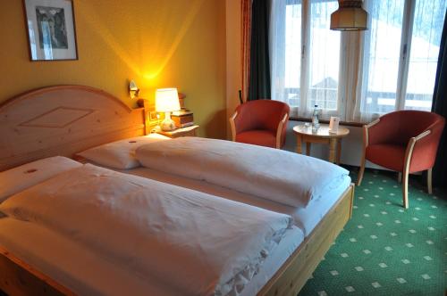 Hotel Gletschergarten - image 9