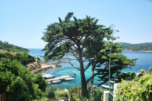 RC d'un Cabanon écologique ile du levant Naturiste reservable du samedi au samedi gîte à louer Port-Cros