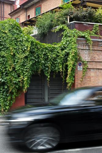 B&B Design - image 9