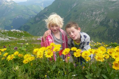豪斯安雅酒店 豪斯安雅酒店