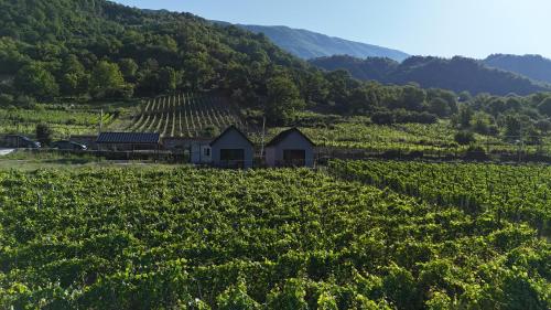 Alrededores, Tsiskari Cottages in Ambrolauri