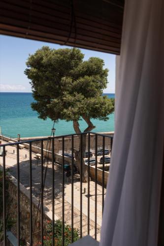 Közeli látványosságok, Almar Suites in Sur Beach