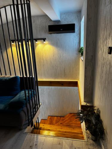Muz, Filiaşi (Foto 5)