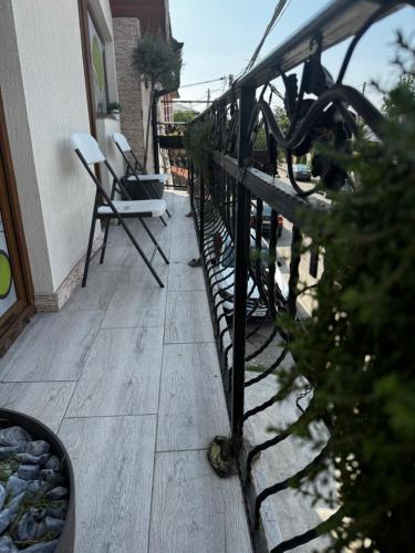 Muz, Filiaşi (Foto 4)