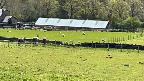 The Den at Moorside, one bed studio on working farm in Mottram