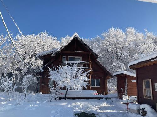 Siodomi Marinki shared wood lodge, pets allowed for a fee in Hashikami