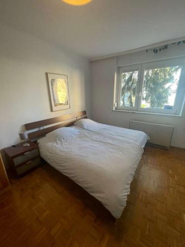 Green in Andritz in Andritz