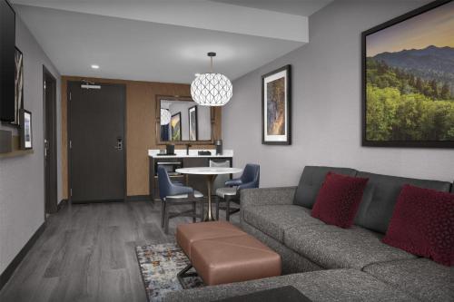 Embassy Suites By Hilton Pigeon Forge Resort - image 2