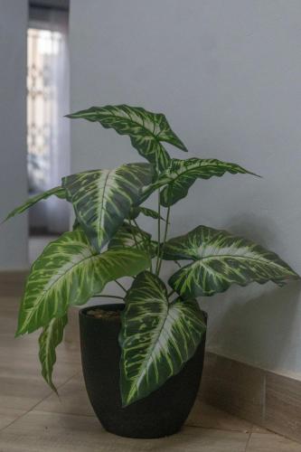 Einrichtungen, Siphosami Apartments - Unit 2 Mopane near Internationaler Flughafen Lilongwe