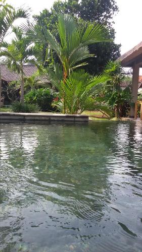 Suka's House Bed & Breakfast – Ubud, CO