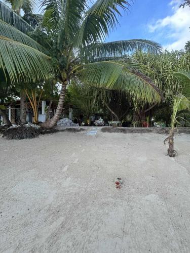 Maupiti Bambou Camping near Maupiti Airport