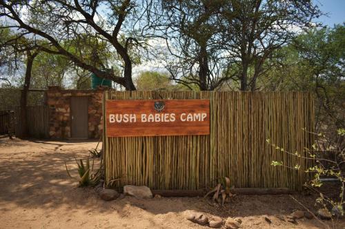Bush Babies Camp, Cambridge