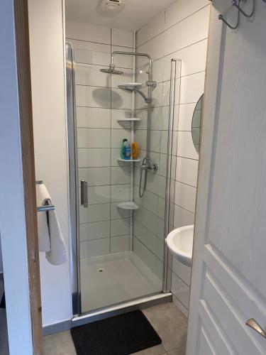 Zuhanyzó, Studio meublée 21m2 les Abrets en Dauphiné avec accès autonome (Studio meublee 21m2 les Abrets en Dauphine avec acces autonome) in Saint-Ondras