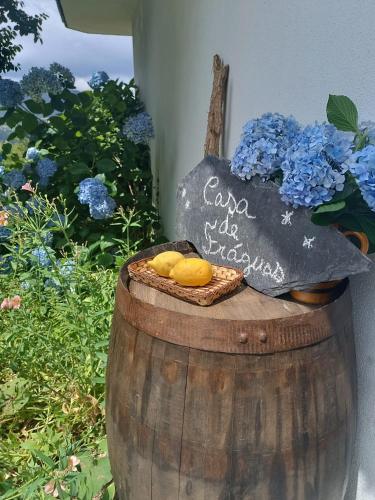 Casa de Fráguas gîte à louer Ameixieira