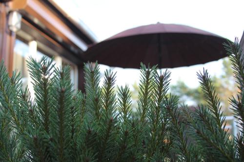 Holiday Terrace Nida